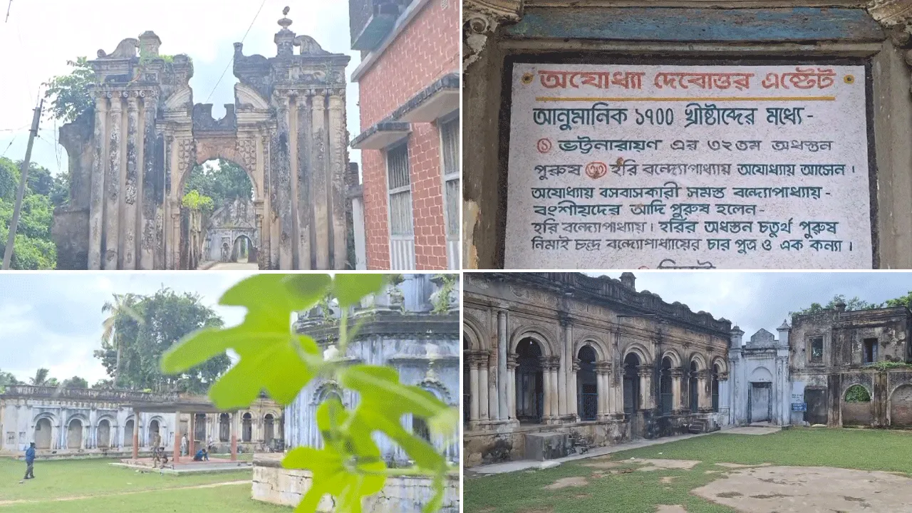 দুইশো বছরের ঐতিহ্য! অযোধ্যার বন্দ্যোপাধ্যায় জমিদারবাড়ির পুজোয় আজও রুপোর পালকিতে নবপত্রিকা, ব্যাঘ্রবাহিনী মায়ের আরাধনা
